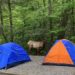 Cataloochee Camping